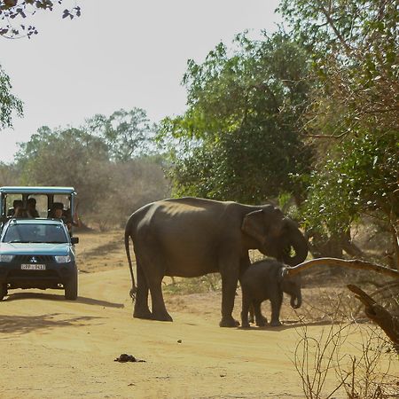 Yala National Park Camping Hotel Exterior photo