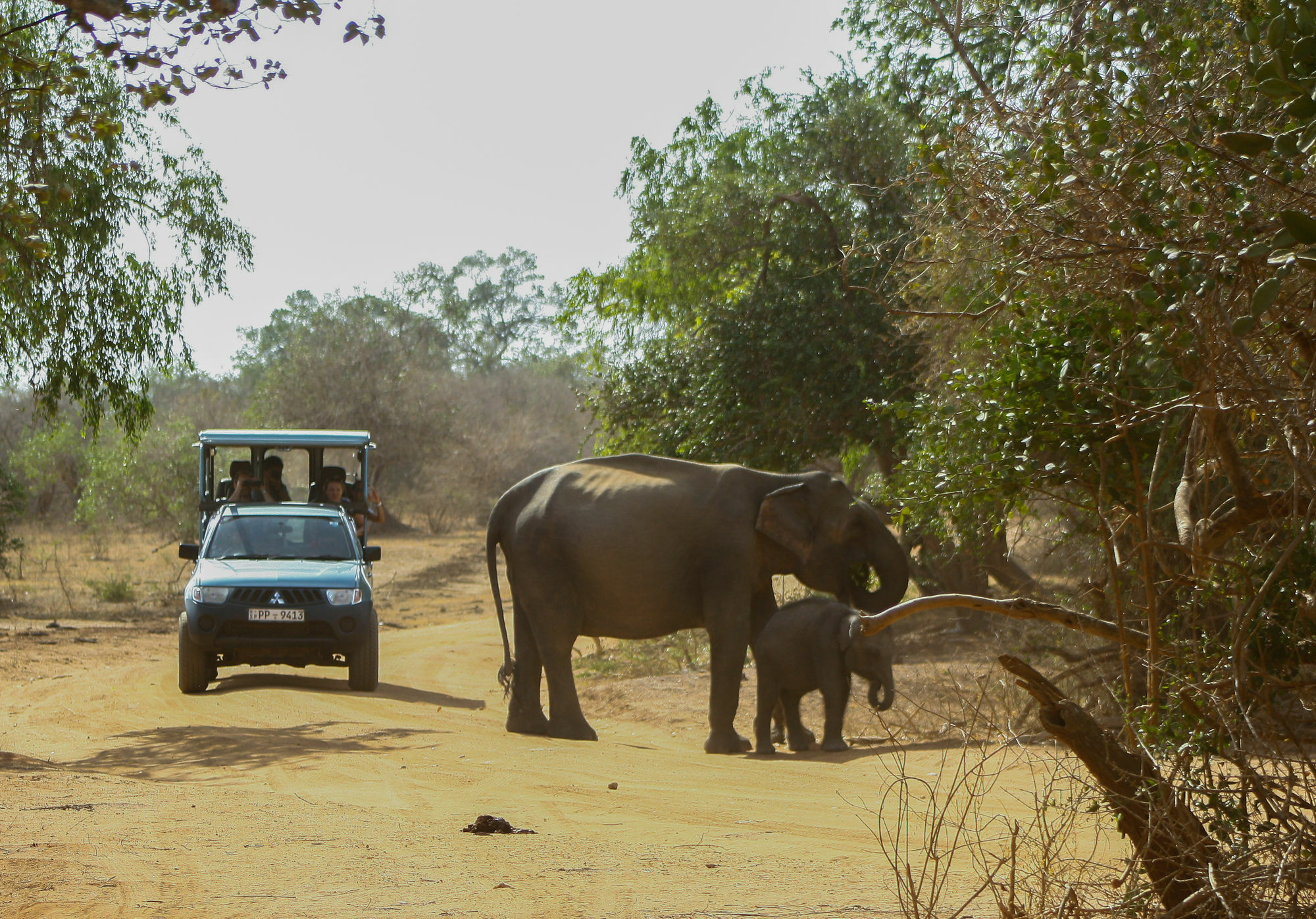 Yala National Park Camping Hotel Exterior photo