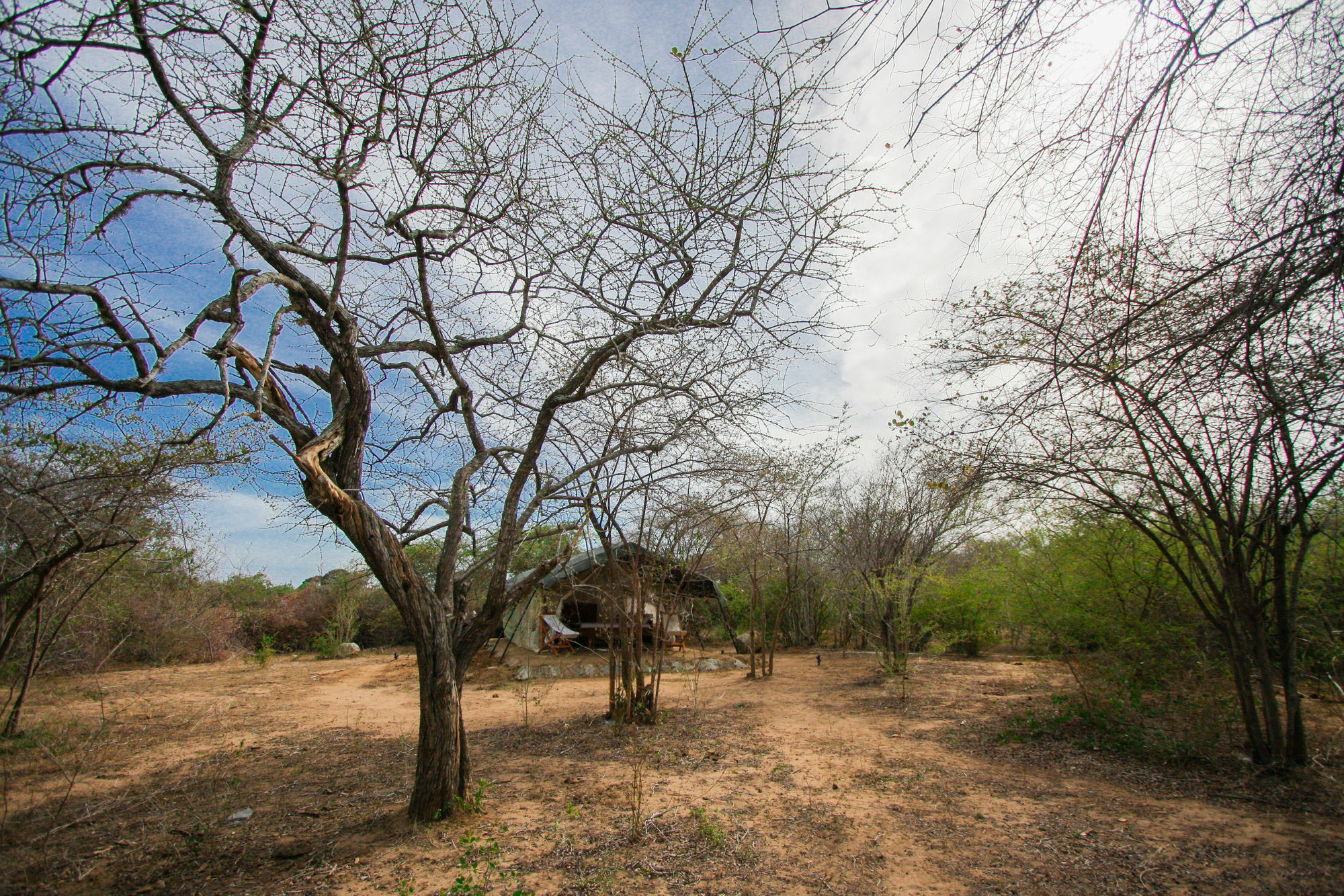 Yala National Park Camping Hotel Exterior photo